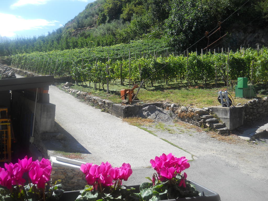 La Vita In Campagna 빌라 디 티라노 외부 사진