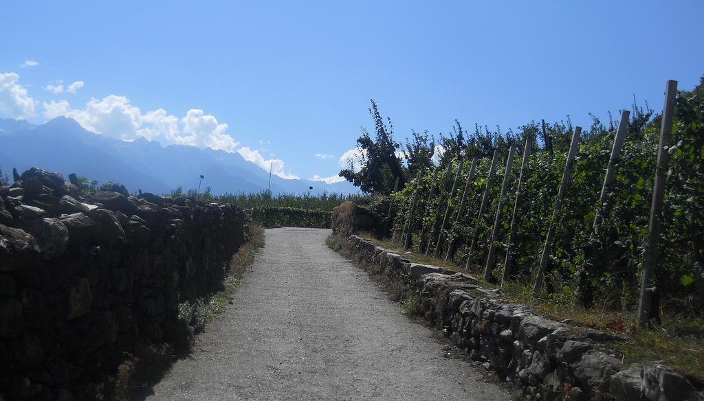 La Vita In Campagna 빌라 디 티라노 외부 사진