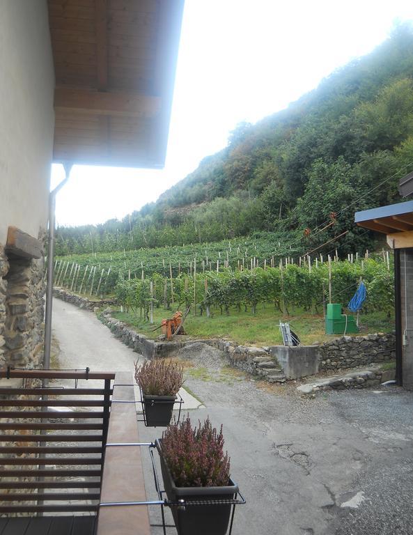 La Vita In Campagna 빌라 디 티라노 객실 사진